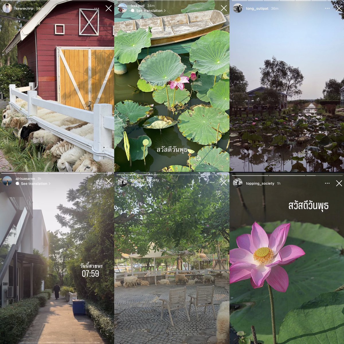 ˗ˏˋ spn ˎˊ˗ 𐙚 tweet media