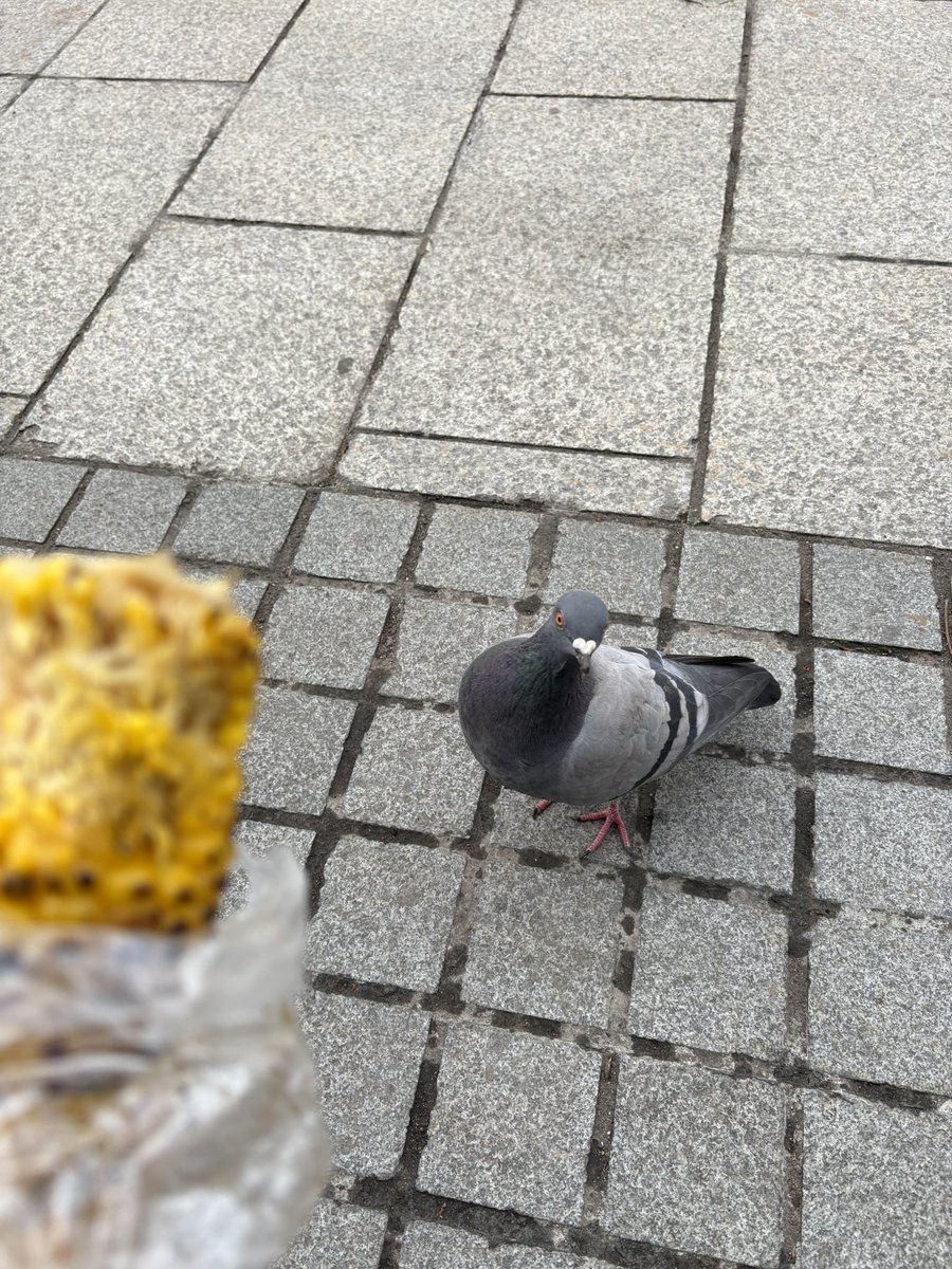 チェン・イズィィィ tweet media