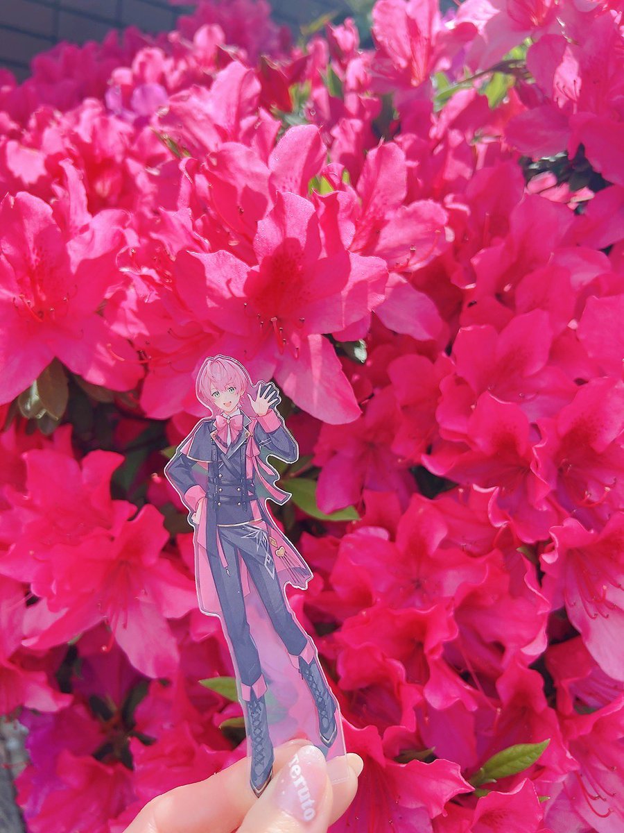 ゆう❤︎.*⚔️ tweet media