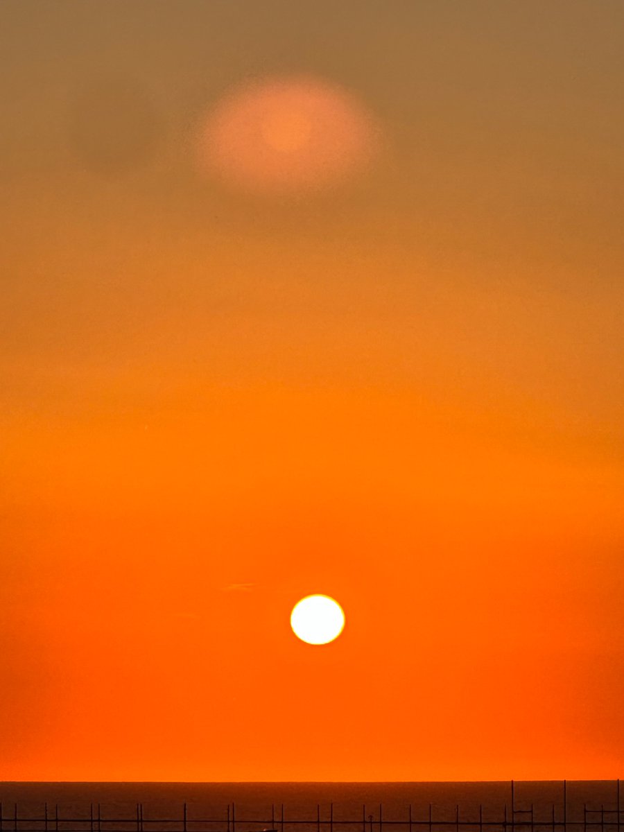 S ☀️ tweet media