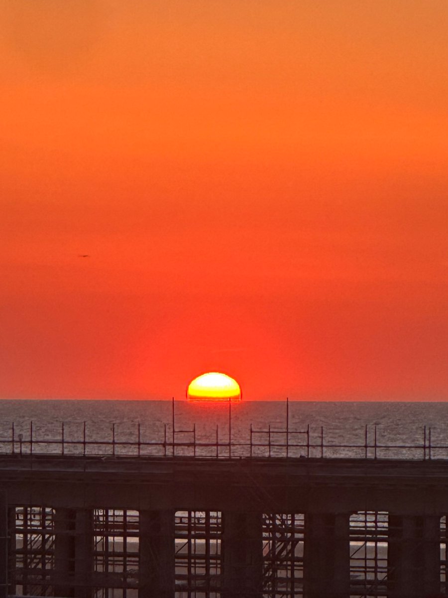 S ☀️ tweet media