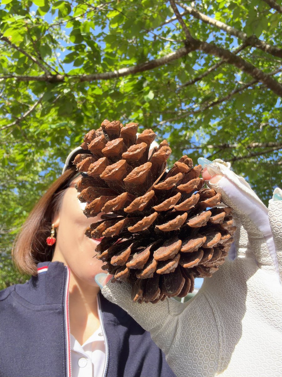 あやこさんの趣味 tweet media