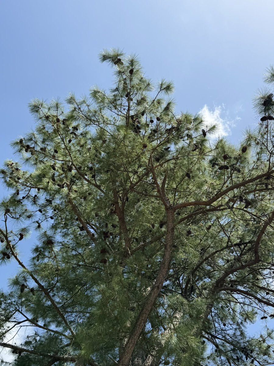 あやこさんの趣味 tweet media