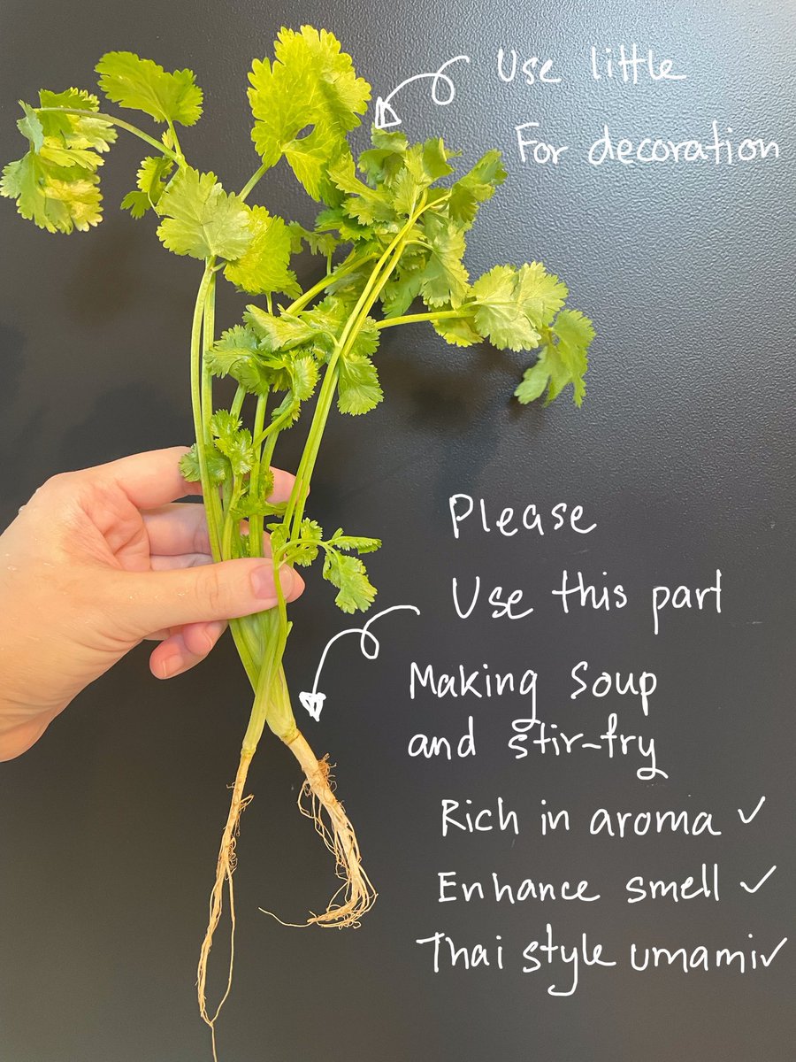 。 Mame 。A Birb from Babylonia tweet media