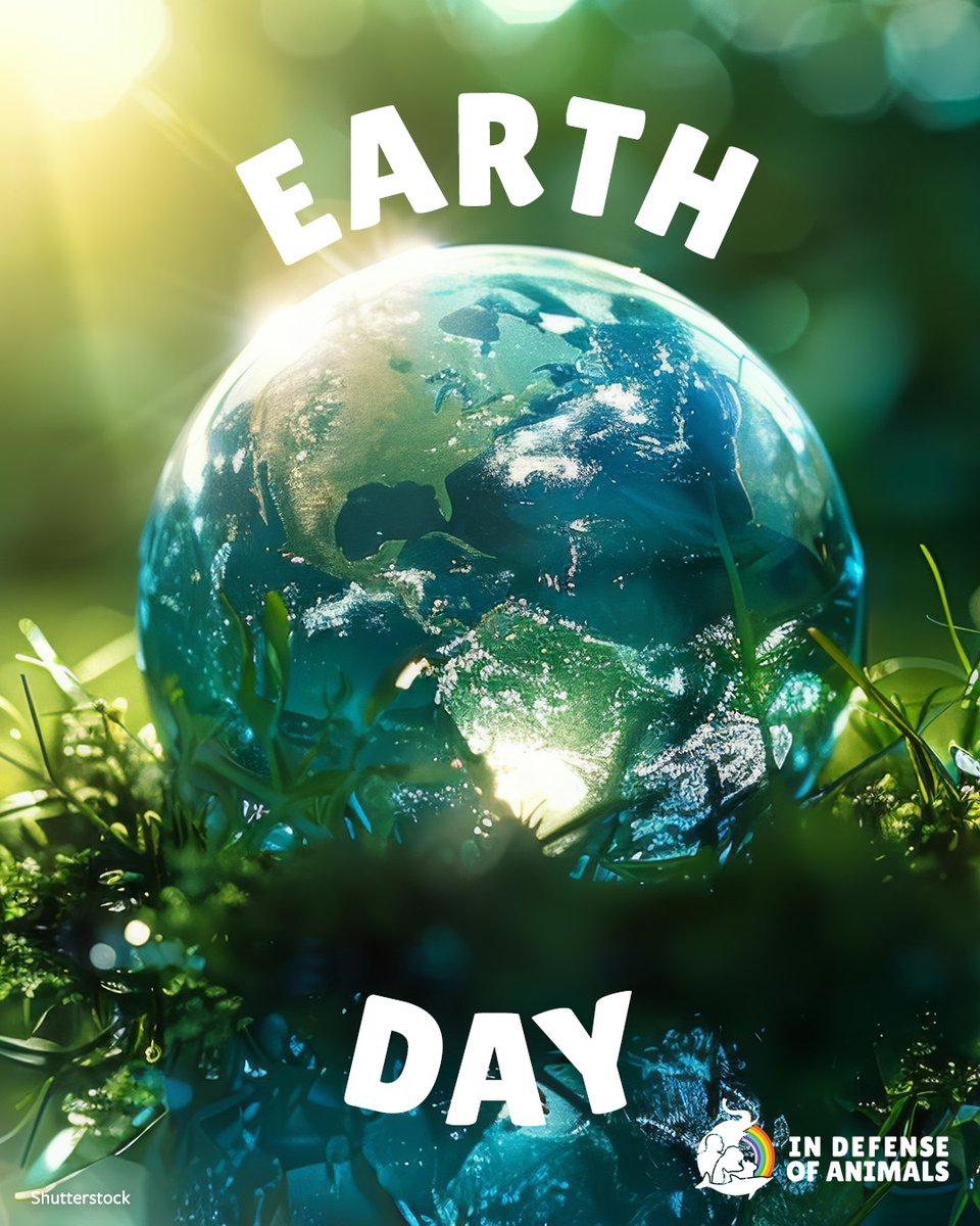 IDAUSA's tweet image. On #EarthDay, the last thing the world needs is natural areas replaced by #plastic. Artificial turf is a disgusting idea. It burns paws, destroys habitat, &amp;amp; wipes out the living space #WildAnimals need.
Act now: bit.ly/4cZdkjO
RT &amp;amp; bit.ly/4vODRIc
#SanFrancisco