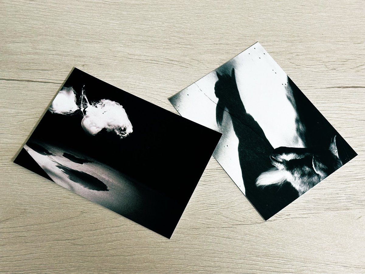 部屋の模様替えしてたらまあまあエッジの効いた写真出てきた笑