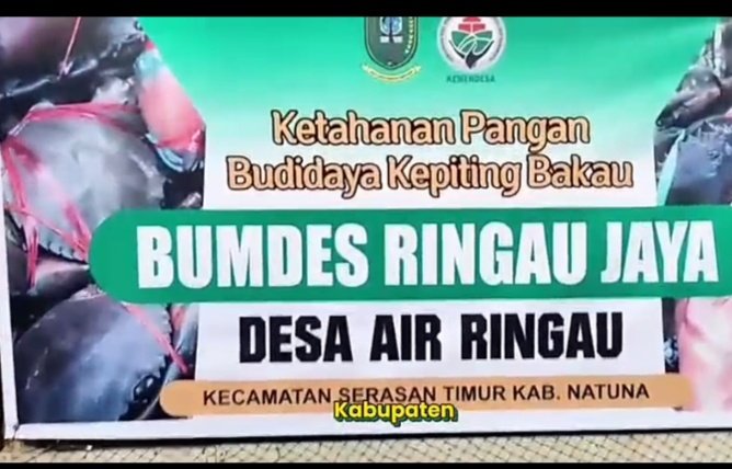 DARI NATUNA UNTUK INDONESIA. BUMDesa Desa  Air Ringau di Ujung Utara Negeri  berinovasi membudidyakan kepiting u kesejahteraan warga. 
<a href="/YandriSusanto/">Yandri Susanto</a>
 <a href="/KemensetnegRI/">Sekretariat Negara</a>
#BPSDMKementerianDesaPDT
#BUMDesaNatuna
 #KerjaTPPBerdampak #BUMDesaMensejahterakanRakyat
#KerjasamaBUMDesadanKDMP