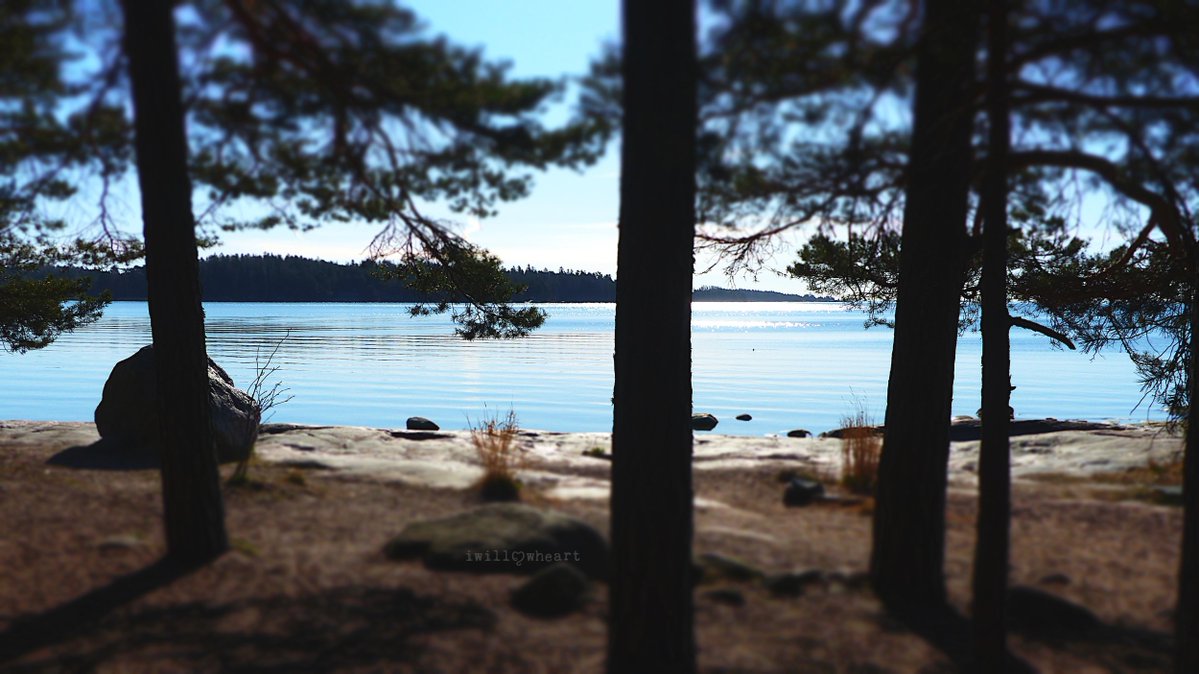 iwillowheart's tweet image. Happy #EarthDay  🍃🌍💚
Early morning by the sea
#naturephotography 
#landscapephotography 
#ocean #trees