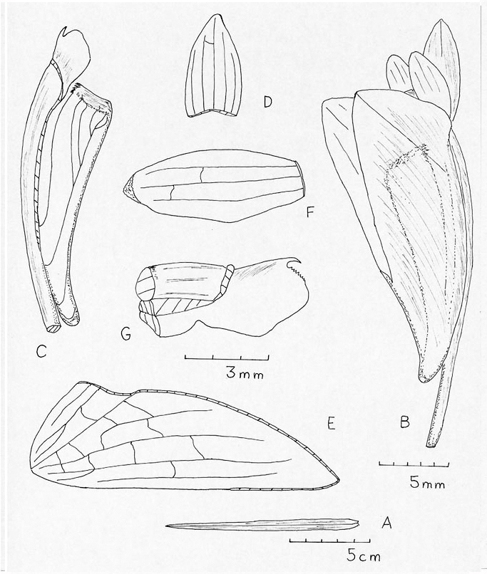 Kurt Metzger tweet media