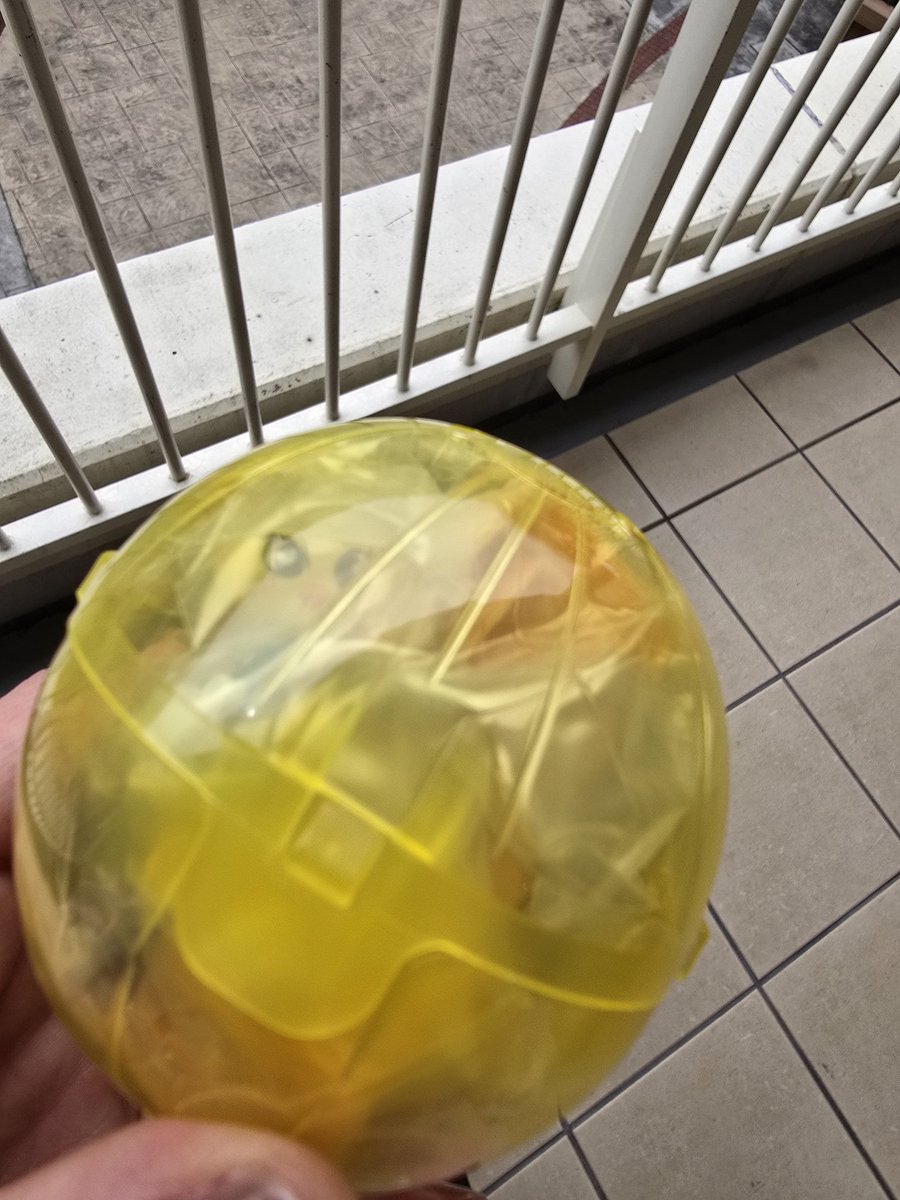 mina_Chan2 tweet media