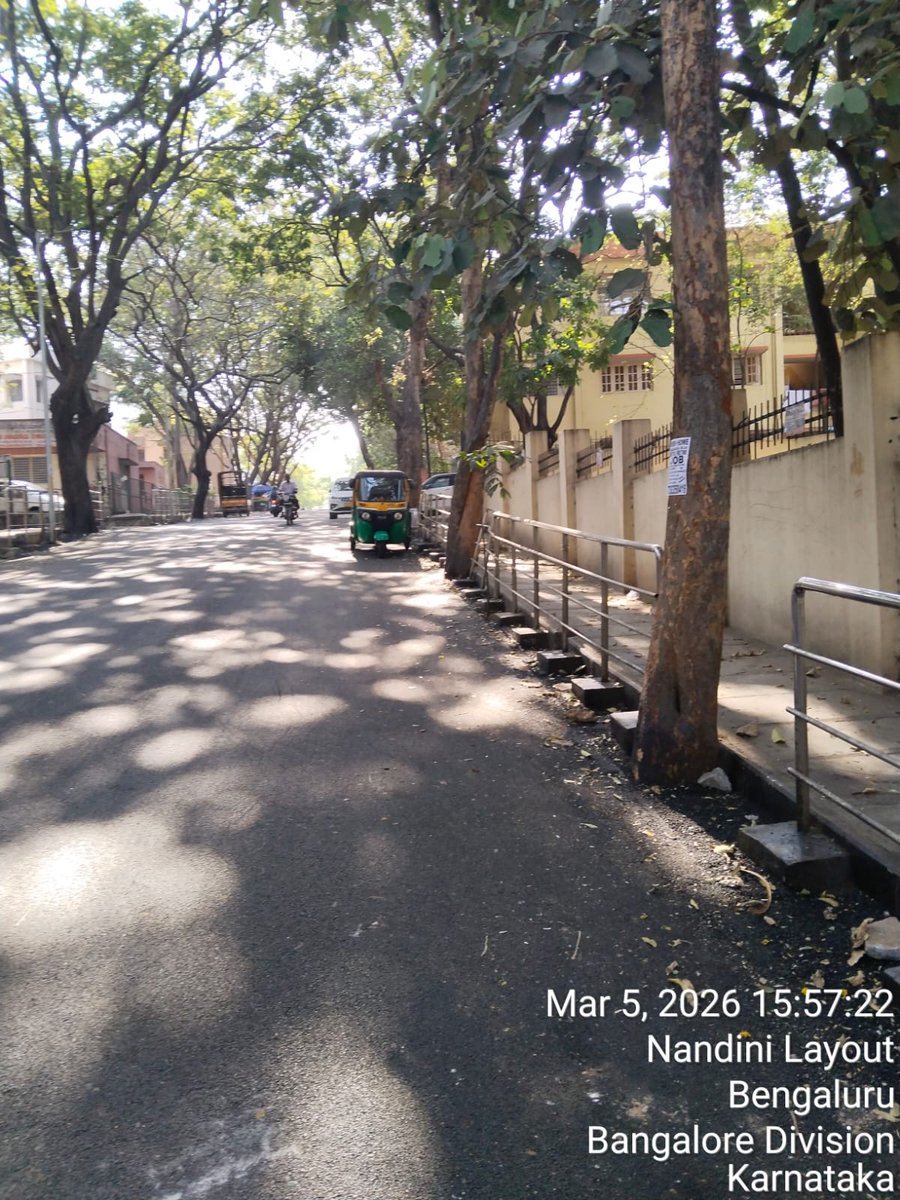 SurajyaAbhiyan's tweet photo. PWD, Municipal or Private : for roads and footpaths must include a mandatory clause : Failure to maintain the 1mtr unpaved zone around trees to result in withholding of payments - blacklisting of the contractor @aranya_kfd @bbmp_official 

#SaveTreeFromConcrete #WorldEarthDay https://t.co/aVYDX4gX3p