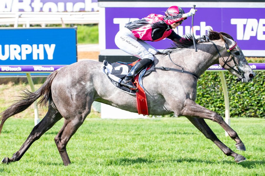 Magic Millions tweet media