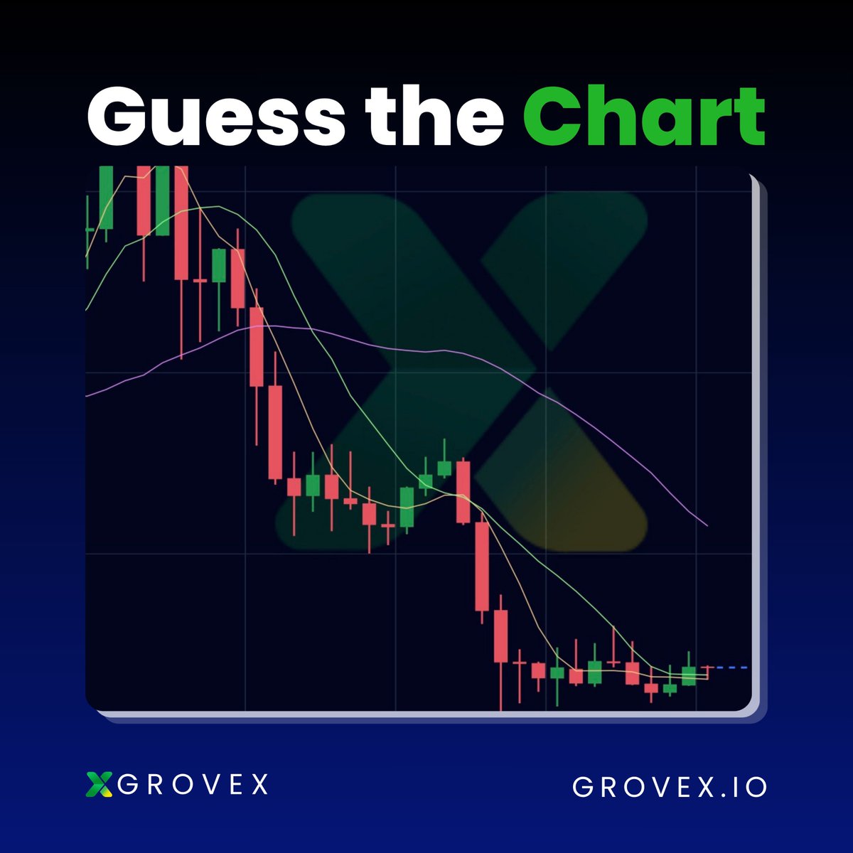 GroveX tweet media