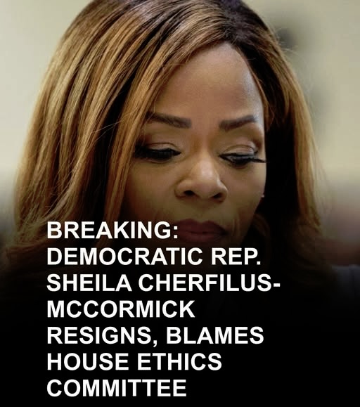 SparksN123 tweet media