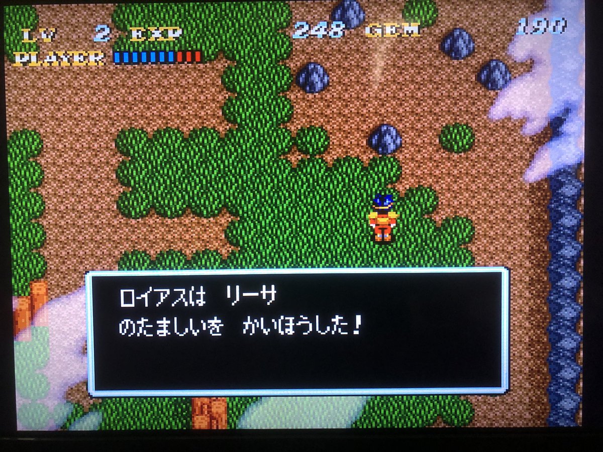 ロイアス tweet media