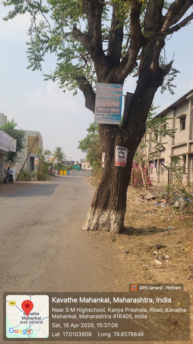 🚩 ‘Vruksha Sanjeevani’ should NOT be just a one-day event!
Real change needs ACTION, not optics

💥 Remove concrete at violators’ cost
💥 Ensure 1m soil space around every tree
💥 Enforce strict laws across Maharashtra

🌳 Save our roots!
#SaveTreesFromConcrete #SurajyaAbhiyan