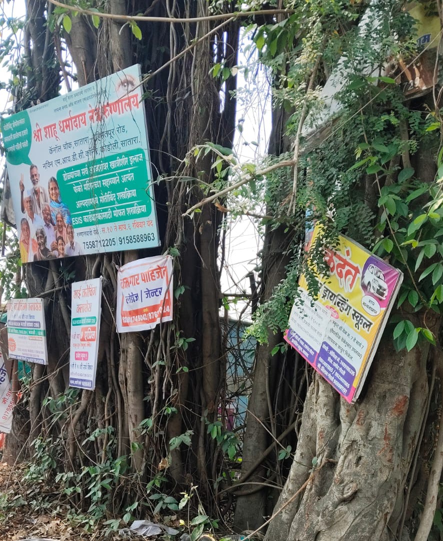 🌳 मुंबई सहित महाराष्ट्र में 29.75 लाख से ज्यादा पेड़ों पर संकट! 
विकास के नाम पर तनों तक कंक्रीट और कीलें ठोकना NGT व महाराष्ट्र वृक्ष संरक्षण अधिनियम 1975 का उल्लंघन है | नियमों का उल्लंघन करने वाले  ठेकेदारों पर सीधे फौजदारी मामले दर्ज करे | #SaveTreesFromConcrete