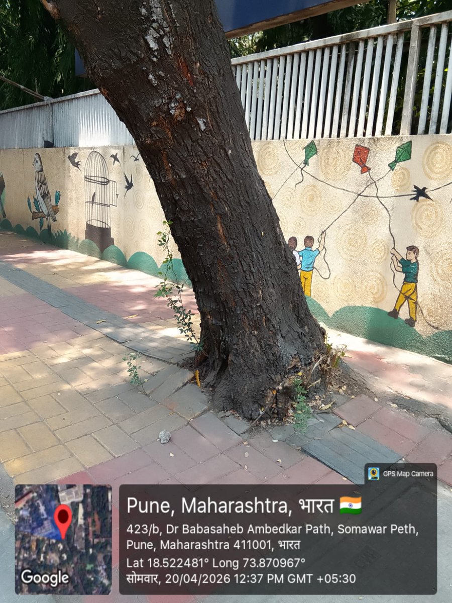a_b_h_a_y_1's tweet photo. #SaveTreeFromConcrete https://t.co/pA4JeaVkOm