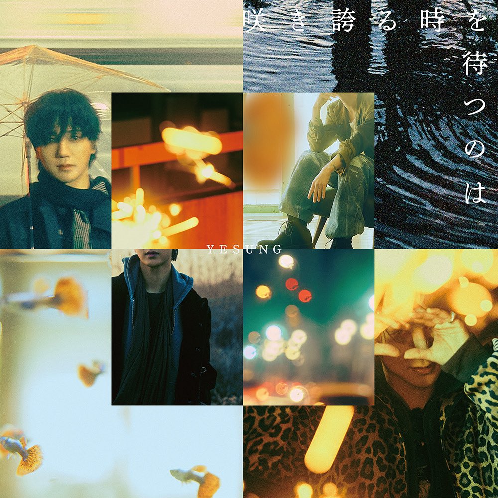 YESUNG official tweet media