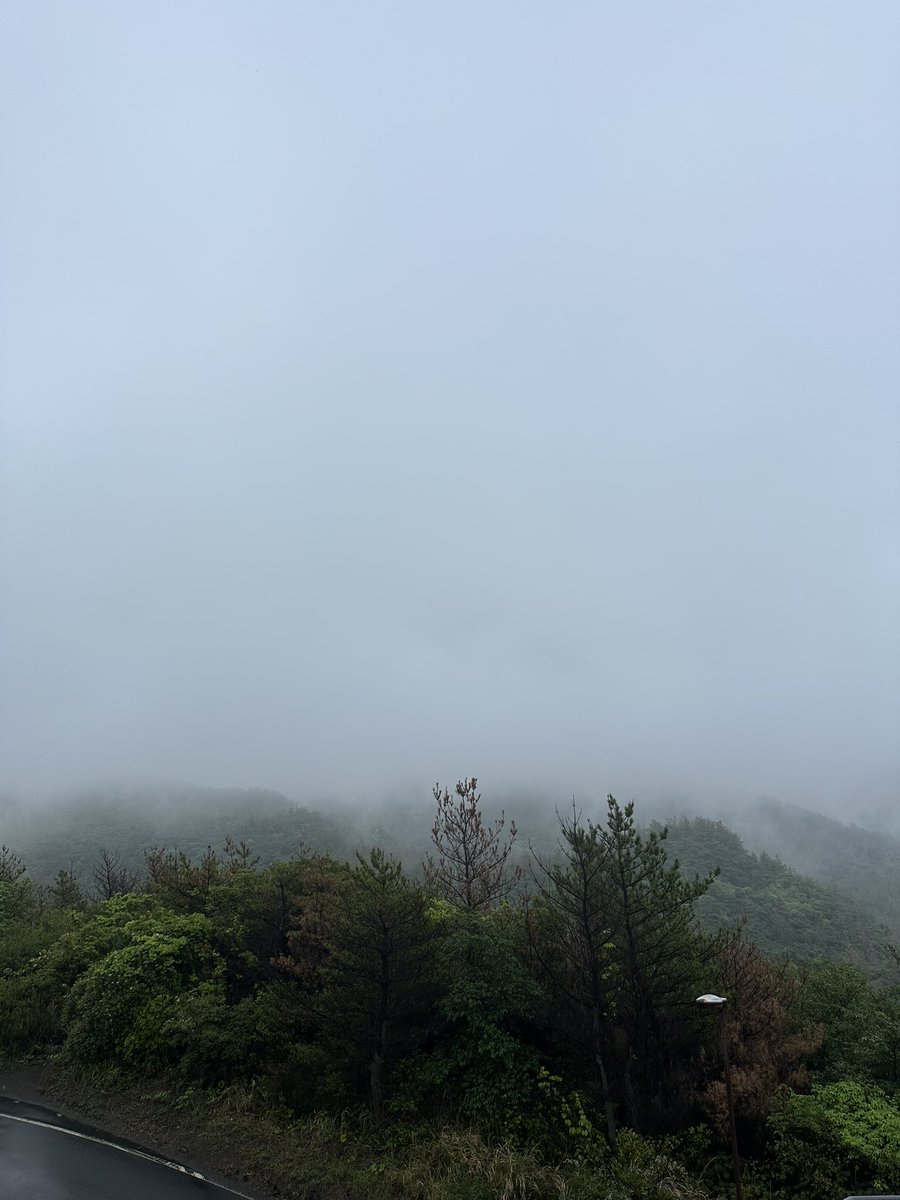 やまみ tweet media