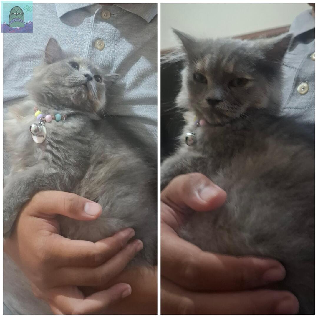 Tanyarl 💚 tweet media