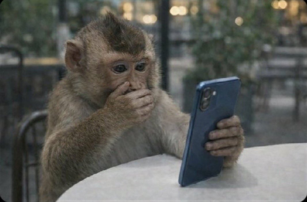 Mbali Mashinini tweet media