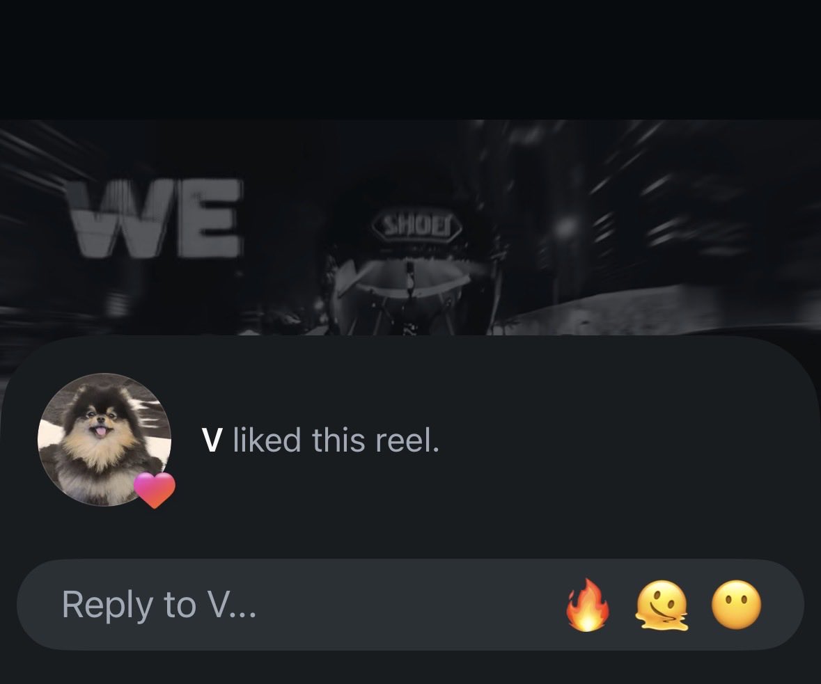 🐾💌🎀🪭 tweet media