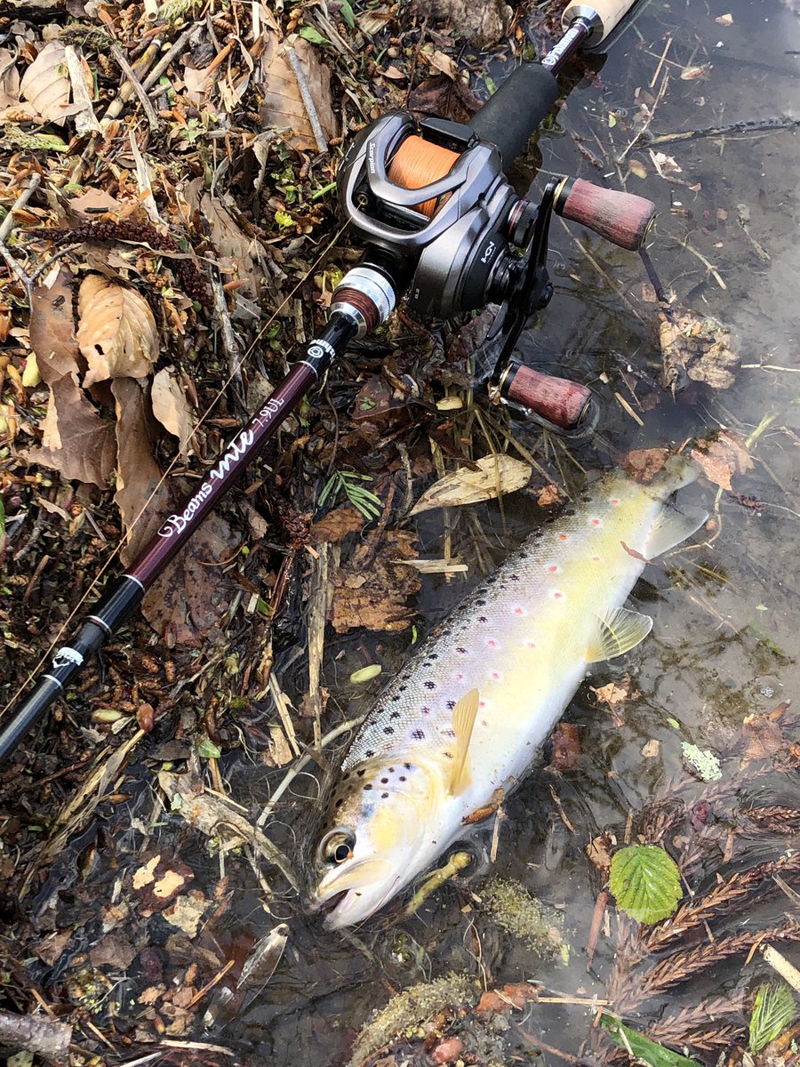 zisakukebari59's tweet photo. 楽しい思いをさせてもらったしいつものゲン担ぎでゴミ拾い🗑️枯葉に埋もれて気付かなかったのがかなりありました😓
#北海道 #ベイトフィネス #Fishman #Beams #inte79UL #SHIMANO #Scorpion #BFS #ブラウントラウト #次世代プロジェクト https://t.co/To5XPkJVBh