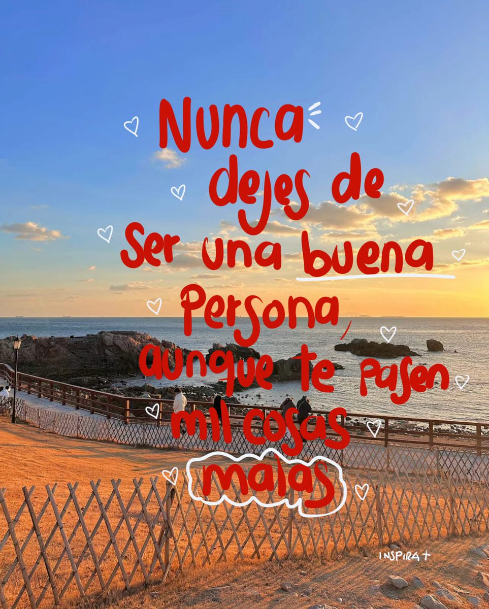 sad bunny tweet media