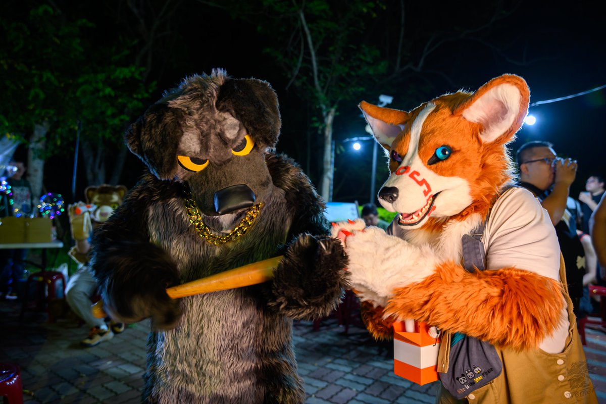 Badogbagel's tweet photo. 大哥&amp;小弟 @typhone2024 
📸@tremor_714 
#FursuitFriday https://t.co/Y5xC0aZc8q