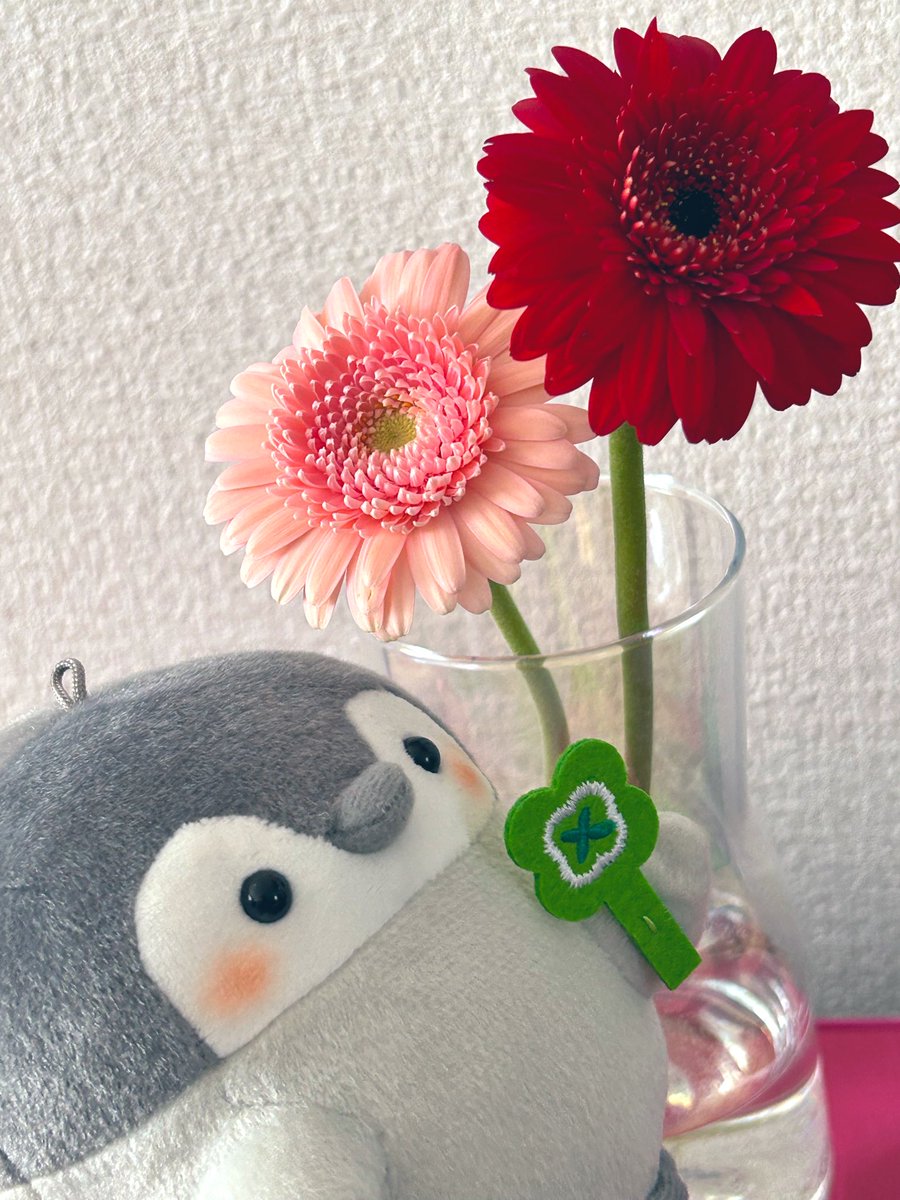 はすぺん🍀 tweet media