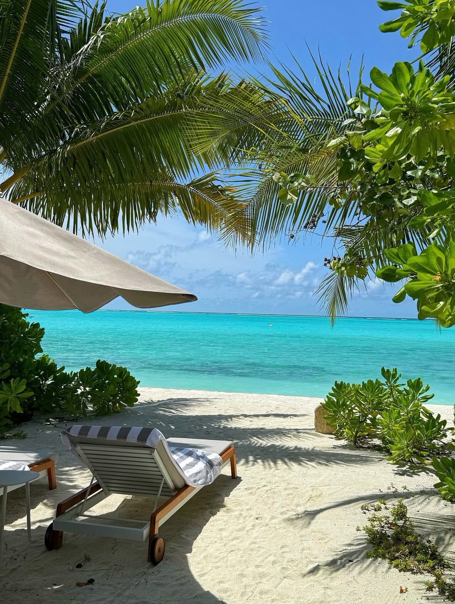 World Explorer 📸 tweet media