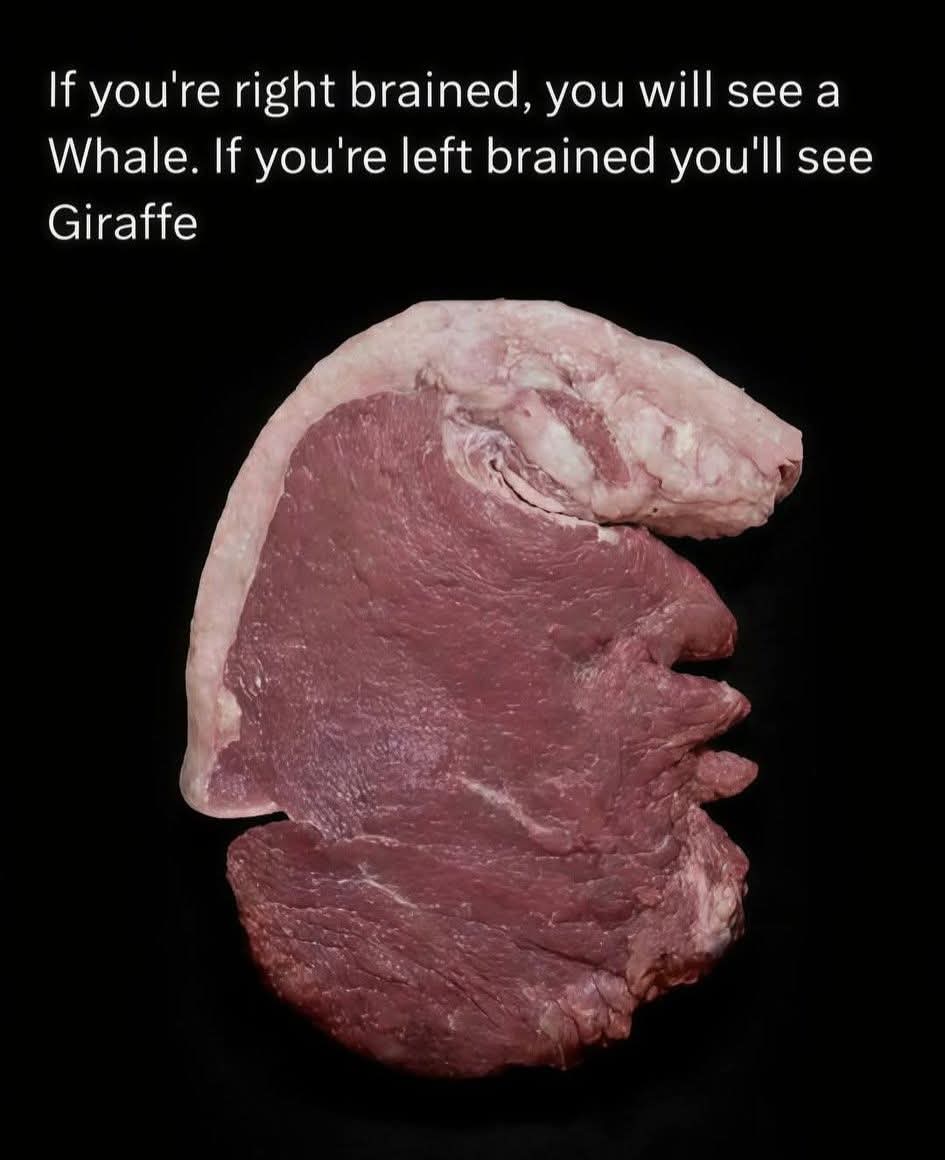 Lily Rosewood tweet media