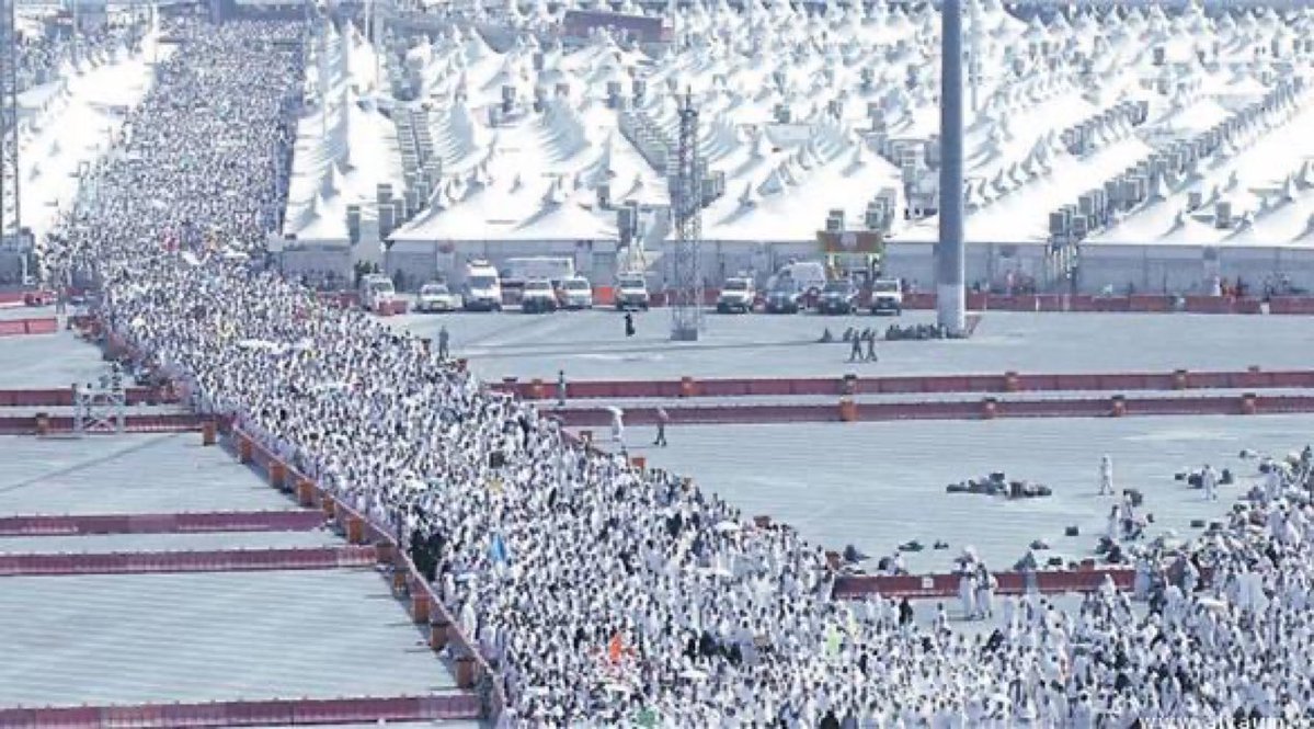 لأول مرة في حج هذا العام..

تطبيق أنظمة إلكترونية جديدة لتنظيم تفويج الحجاج وحركة دخولهم وخروجهم من المخيمات