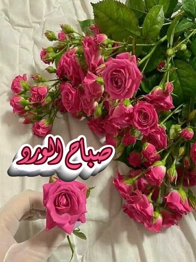 الداعيه خديجه محمود tweet media