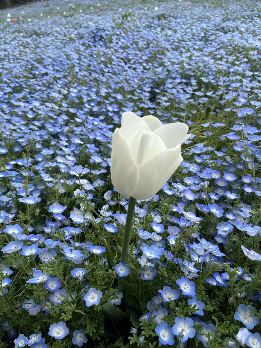 ありさ🐥 tweet media