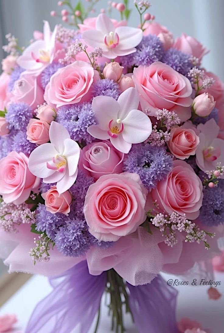 الايجابيه tweet media