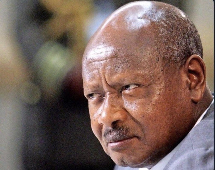 CHAIN🔗Refuses to ignore #PhoenixMassacre tweet media