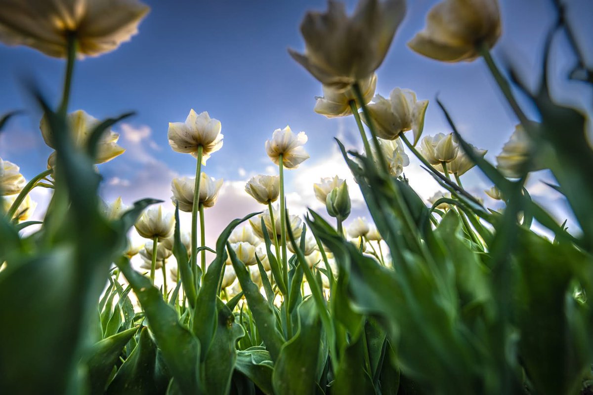 𝑻𝒂𝒓𝒂 𝑲𝒊𝒆𝒌𝒕☕️ tweet media