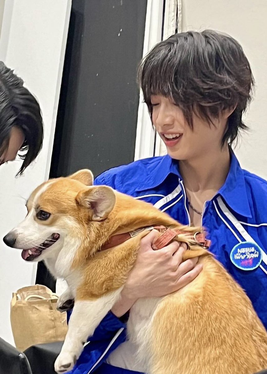 มูมู่จอปอ ᴥ︎ tweet media