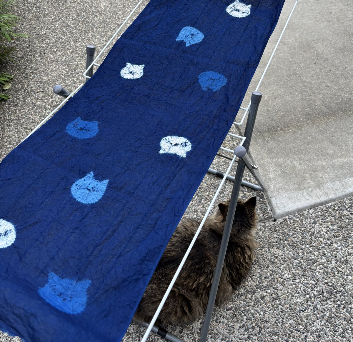 studio.entwo tweet media