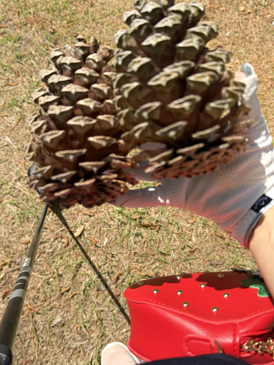 あやこさんの趣味 tweet media