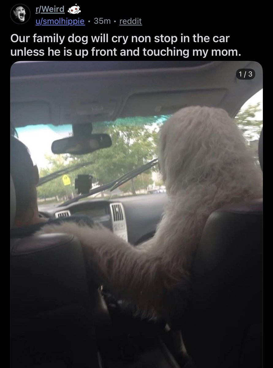 Reddit But Funny tweet media