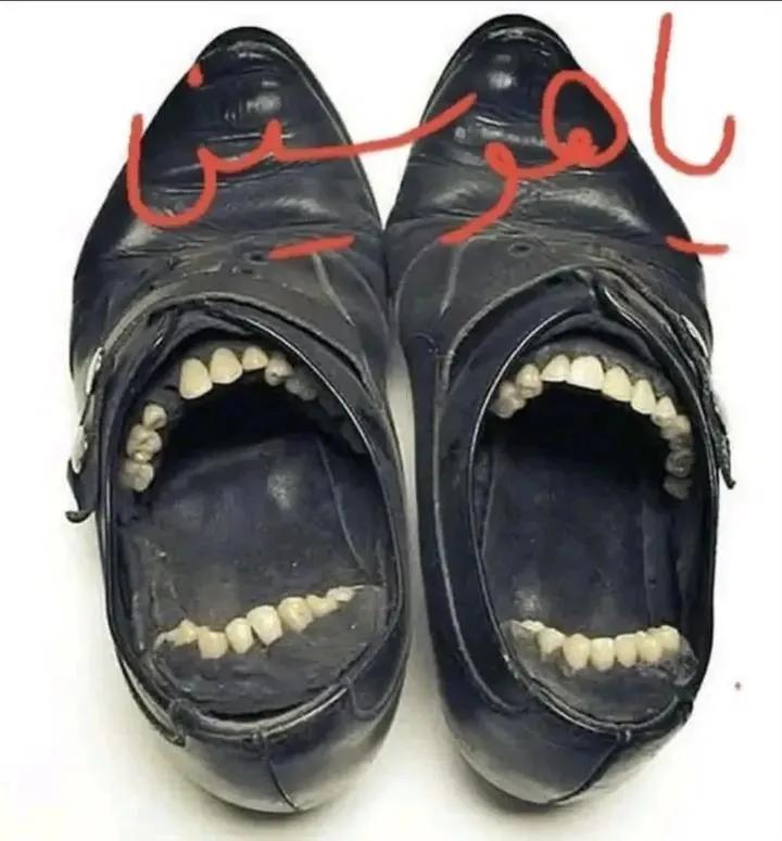 القرني tweet media