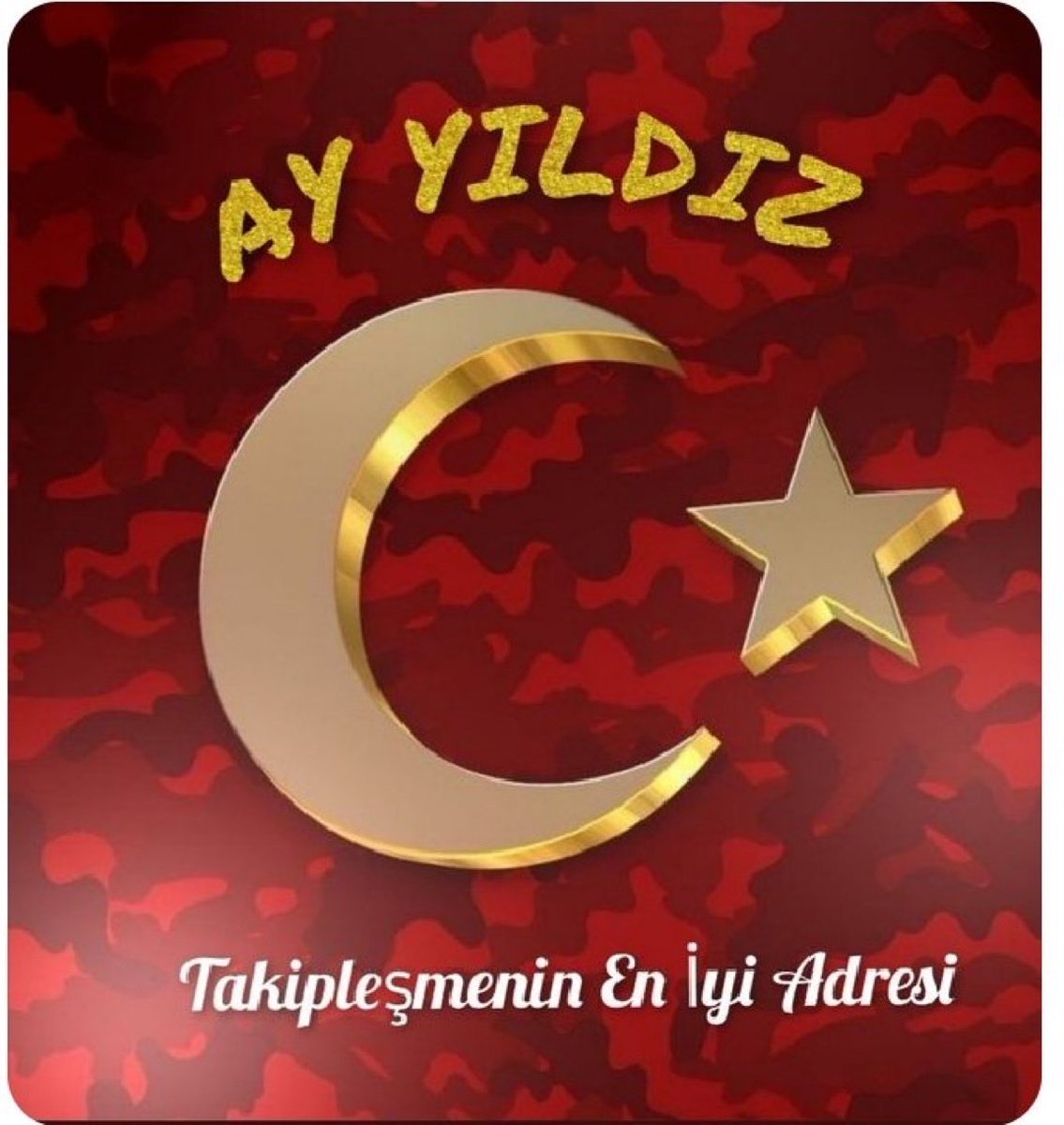 Aslhan🇹🇷💛💙🇹🇷 tweet media
