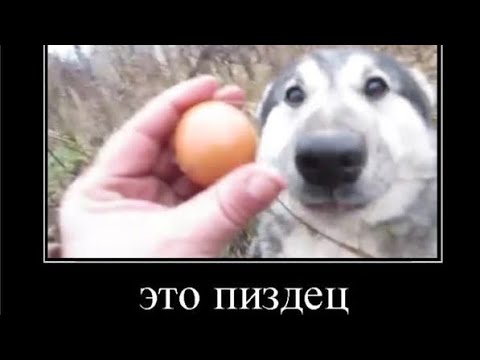 oy_shit___'s tweet photo. а вообще домой хочу https://t.co/XBnWZGdkFV