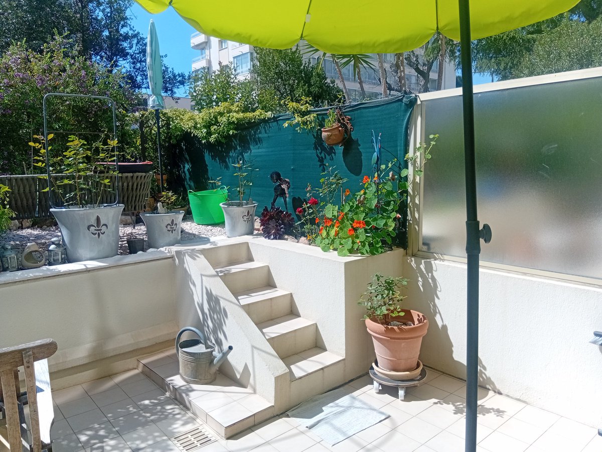 VERONICA tweet media