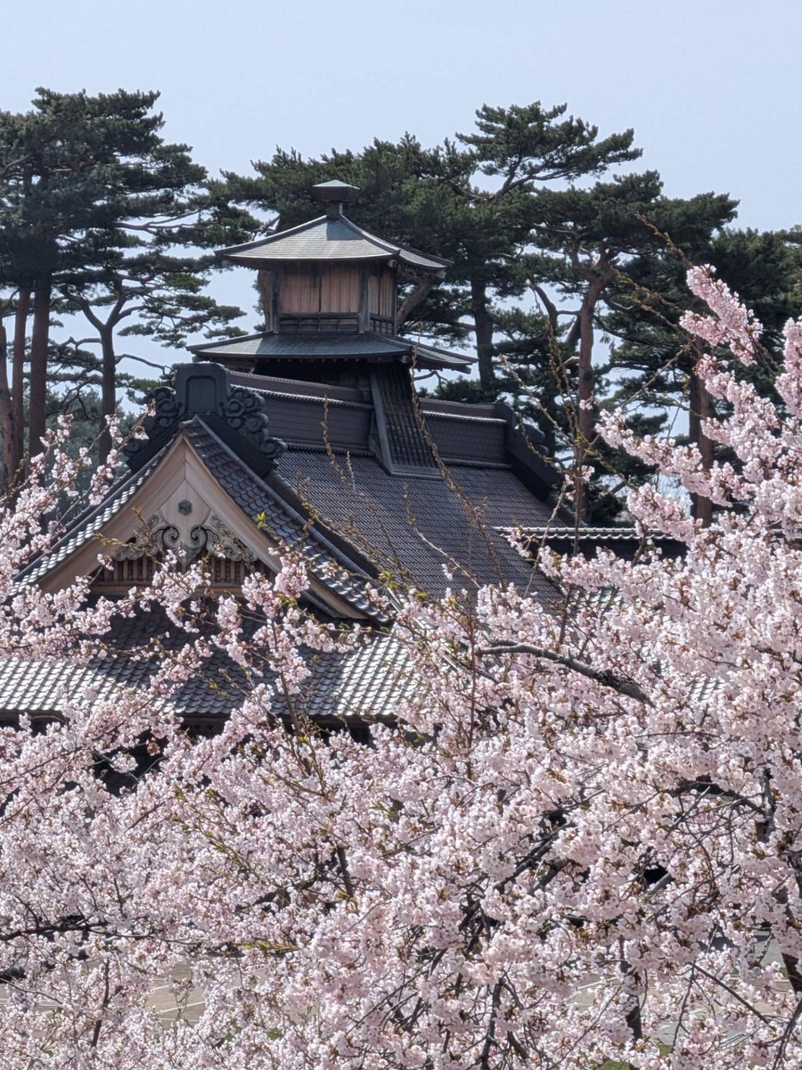 箱館奉行所【公式】 tweet media