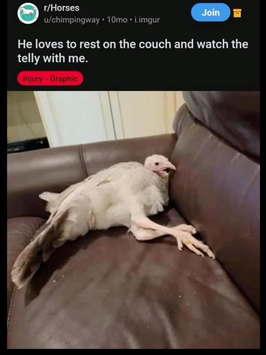 Reddit But Funny (@redditbutfunny) on Twitter photo 