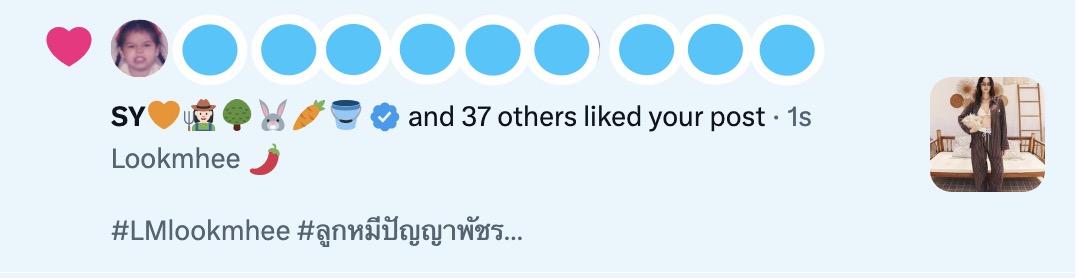 Kiki🐨🐰 tweet media